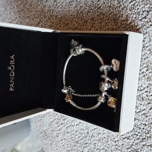 Pandora Bracelet (with Mother/daughter charms and graduation cap)